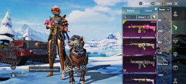 Digər: PUBG Mobile hesabı – zəngin kosmetik kolleksiya - X-Suit — 13