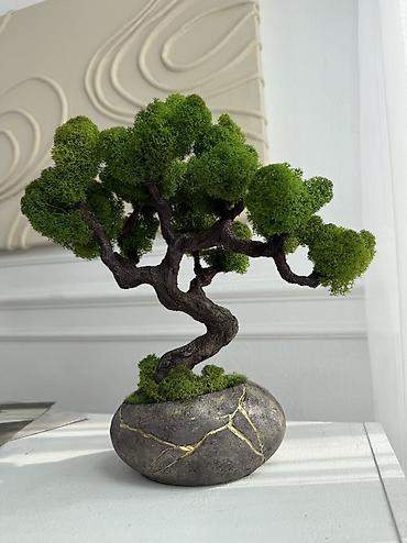 Декоративные цветы: Деревья-бонсай из натурального стабилизированного мха🌳 -это — 89