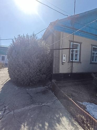 80: 📌В селе Беловодское срочно продается дом из 5-х комнат на а участке 11 — 6