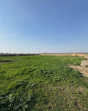 Продажа участков: 125 соток — 10