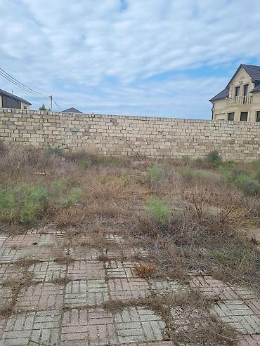 yaşma bağları torpaq: 28 sot, Tikinti, Mülkiyyətçi, Kupça (Çıxarış), Texniki pasport — 5