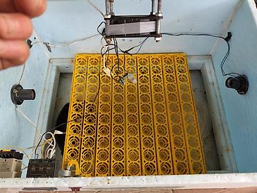 İnkubatorlar: 100 yumurta, Azərbaycan, Tam avtomat, Bütün növ quşlaq üçün — 9