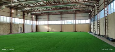 Toxumlar: 10 azn baslayan qiymetler Suni qazonlarin topdan satisi Suni qazon -da lalafo.az — 25 Toxumlar: 10 azn baslayan qiymetler Suni qazonlarin topdan satisi Suni qazon — 25