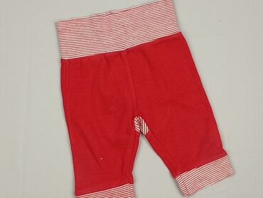rajstopy dynia: Legginsy, Mothercare, 1-3 m, stan - Idealny