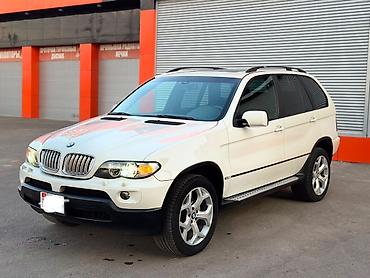 BMW X5: 2004 г., 3 л, Автомат, Бензин
