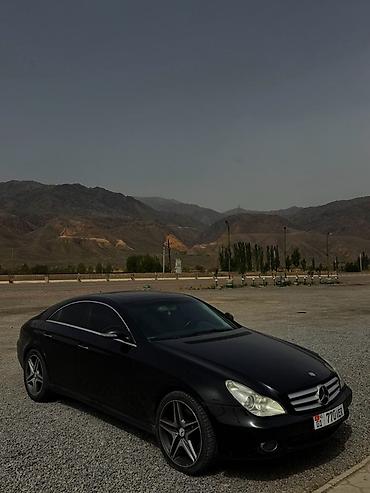 cls amg: Mercedes-Benz CLS-Class: 2006 г., 5 л, Автомат, Бензин, Купе — 2