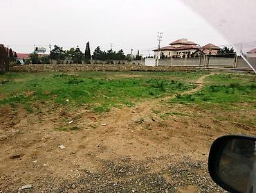 8 mk: 8 sot, Tikinti, Kupça (Çıxarış) — 7