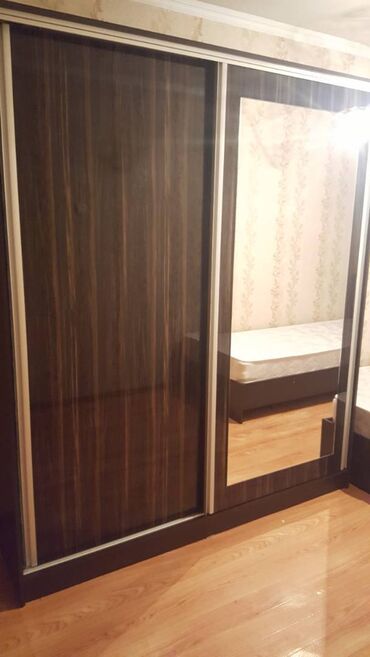 дверь с домофоном: Купе шкаф, Колдонулган, Күзгүсү менен