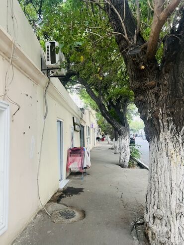 Uzunmüddətli kirayə mənzillər: BAYILDA, Nefçi Qurban küçəsində (Dogum evi BUBLİK yaxınlığında ) — 14