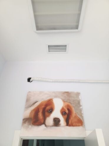 Şəkillər, tablolar: Her biri 10 azn — 16