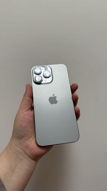 Apple iPhone: IPhone 15 Pro Max, Б/у, 256 ГБ, Natural Titanium, Зарядное устройство, Защитное стекло, Чехол, 88 %