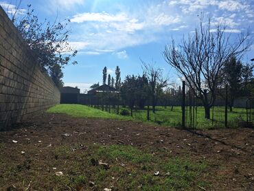 Torpaq sahələrinin satışı: Tikinti — 5