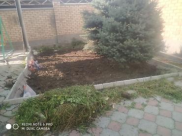 Мелкосрочные работы: (Услуги разнарабочих) 1засыпка подсыпка хова Камаз Зил от 4000с бу — 7