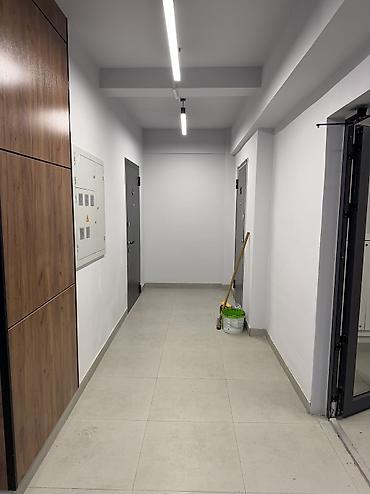 Продажа квартир: 2 комнаты, 55 м², Элитка, 1 этаж, Евроремонт — 4