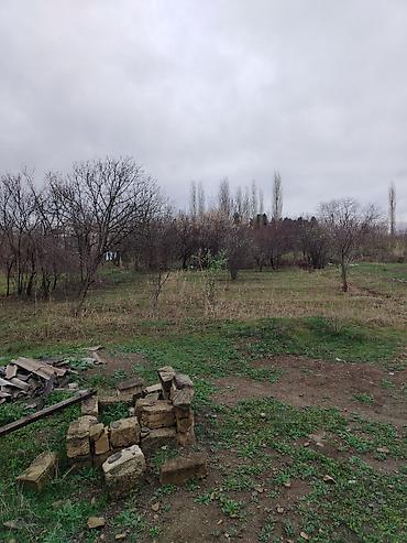 sabunçu kiraye heyet evleri: 1 otaqlı, 8 kv. m, Kredit yoxdur, Orta təmir — 3