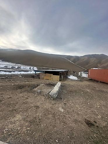 Кыймылсыз мүлк: 30 соток, Бизнес үчүн, Кызыл китеп — 8