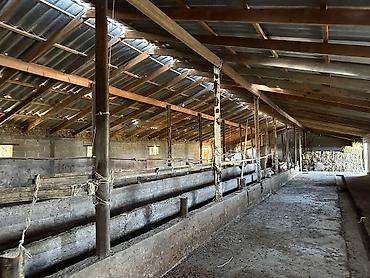 Продажа сельхоз предприятий: Продается Кошар на земельном участке площадью 1000,0 кв.м. Имеется at lalafo.kg — 3 Продажа сельхоз предприятий: Продается Кошар на земельном участке площадью 1000,0 кв.м. Имеется — 3