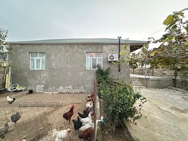 Həyət evləri və villaların satışı: Binə 4 otaqlı, 100 kv. m, Orta təmir — 16