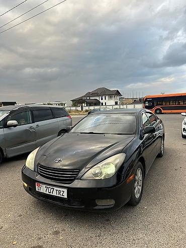 Toyota Windom: 2003 г., 3 л, Автомат, Газ, Седан