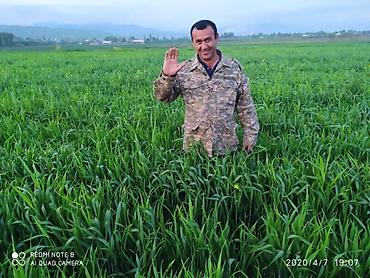 Удобрения и садовая химия: Удобрение Самовывоз — 4