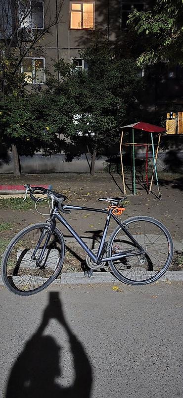 Спорт жана хобби: Шоссе велосипеди, Specialized, Велосипед алкагы M (156 - 178 см), Колдонулган — 4