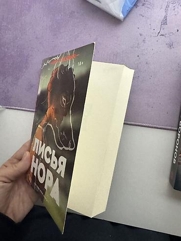 ролер: Роман, На русском языке, Новый, Самовывоз, Платная доставка — 5