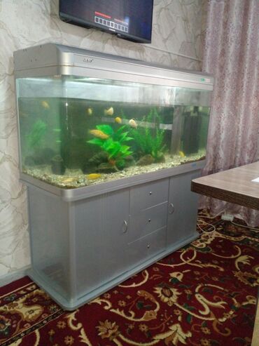 украшения для аквариума: Аквариум на 230 литров с рыбками 10 штук
