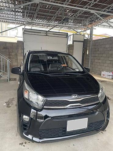 Kia: Kia Picanto: 2018 г., 0.9 л, Автомат, Газ, Хэтчбэк — 1