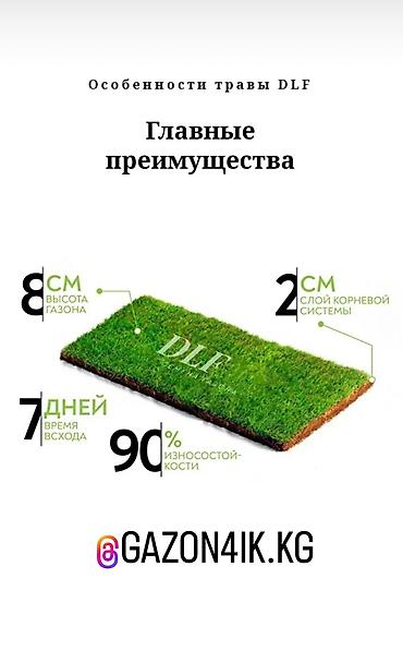 Газон: Семена газона и декоративного клевера🍀 🇩🇰произведены в Дании — 11