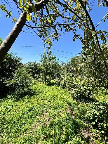 топографический: Земельный участок . 📍 Адрес: Бишкек, Рабочий городок 📐 Площадь — 3