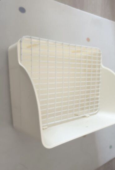 Декоративные кролики: Полный набор для содержания декоративного кролика. В комплекте: - — 20