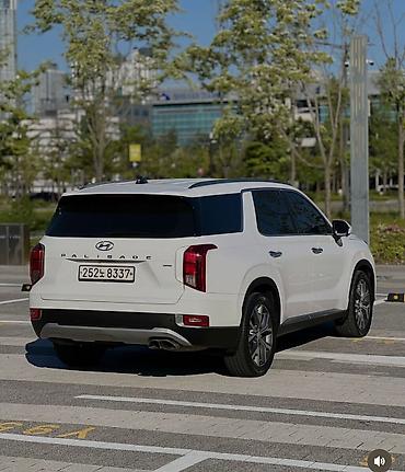 строб контроллер: Hyundai Palisade: 2019 г., 2.2 л, Автомат, Дизель, Внедорожник — 7
