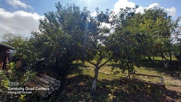 Həyət evləri və villaların satışı: 6 otaqlı, 150 kv. m, Orta təmir — 38