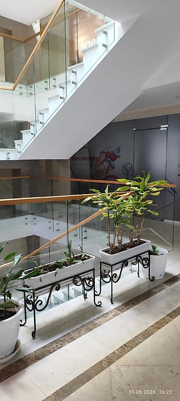 icareye ofis: “Aynalı” Plazada arendaya ofis təklif edilir. Plaza Ə.Rəcəbli — 1