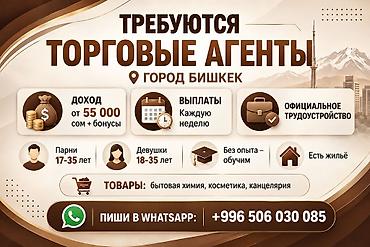 Вакансии: Требуются торговые агенты (г. Бишкек) - Доход: от 55 000 сом + бонусы — 1