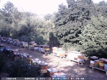 Kamere za video nadzor: Kamera za vocnjake, vikendice, pcelare, lovista HC 300M Kamera za — 8