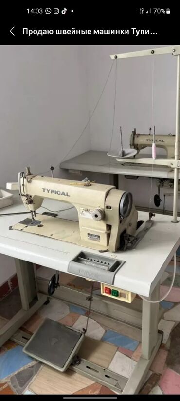 promyshlennye shvejnye mashinki typical: Швейная машина Typical