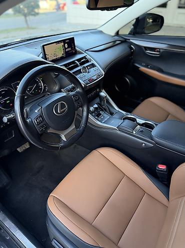 k7 2019: Lexus NX: 2019 г., 2.5 л, Вариатор, Гибрид, Кроссовер — 10