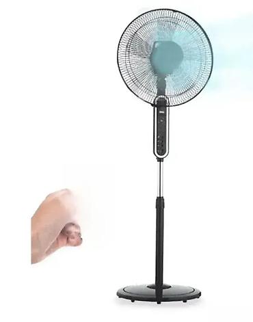 susara za meso: Ventilator sa daljinskim upravljačem DSP KD3070 Drago nam je što ste — 1