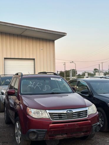 Lexus: Lexus RX: 2005 г., Автомат, Кроссовер — 13