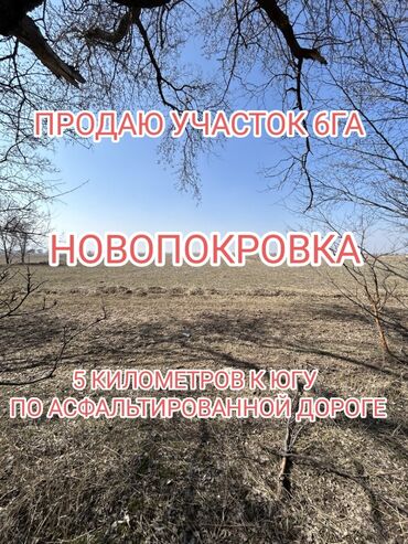 продажа пчелопакетов: 600 соток, Для сельского хозяйства, Договор купли-продажи