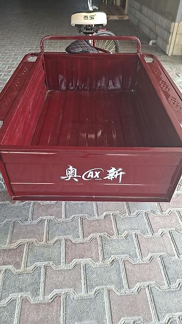velosipedlər isma: Yükdaşıma üçtəkərli velosiped – Aoxin/AXP - Rəng: tünd bordo (korpus — 2