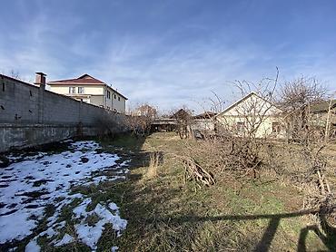 Жер тилкелери: 10 соток, Курулуш, Техпаспорт, Кызыл китеп — 1
