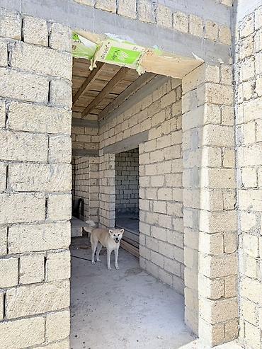 Həyət evləri və villaların satışı: 4 otaqlı, 170 kv. m, Təmirsiz — 23