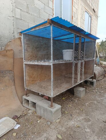 дом ковров бишкек: Клетка канаттууларга 2 кабат узуну 2метир бийиги 1,25 туурасы 70 см