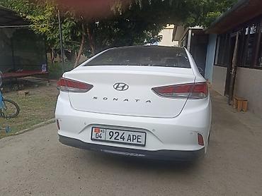 краски на авто: Hyundai Sonata: 2019 г., Седан — 5