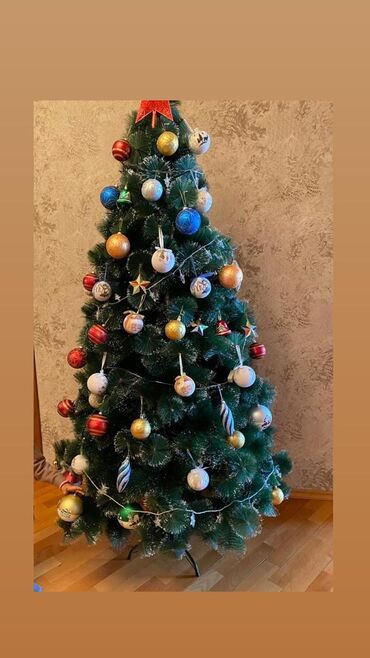 купить подарок мужчине: Yolka. 90man. Olcu 2m.Yaxsi veziyyetdedi.Ustunde isiqlar oyuncaqlar lalafo.az -da купить подарок мужчине: Yolka. 90man. Olcu 2m.Yaxsi veziyyetdedi.Ustunde isiqlar oyuncaqlar