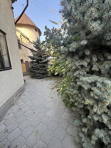 недвижимости: 6 комнат и более, 200 м², 4 соток, Аламедин (ГЭС-2), Агентство недвижимости — 2