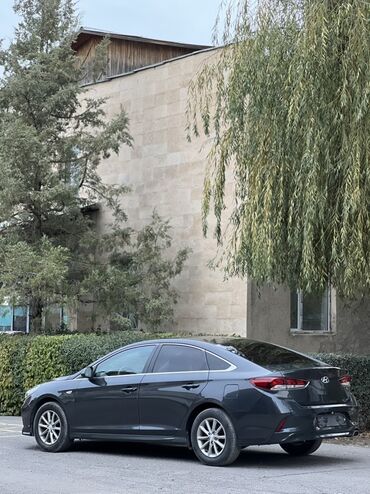 елентра хундай: Hyundai Sonata: 2018 г., 2 л, Автомат, Газ, Седан