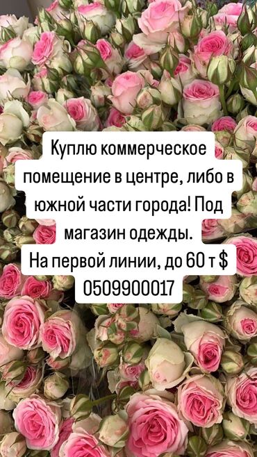 срочно продаю магазин: Продаю Магазин В жилом доме, 50 м², Отдельный вход, 1 этаж